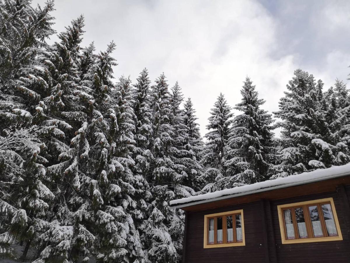 Apartmany Nizke Tatry - Krpacovo Dolna Lehota Luaran gambar